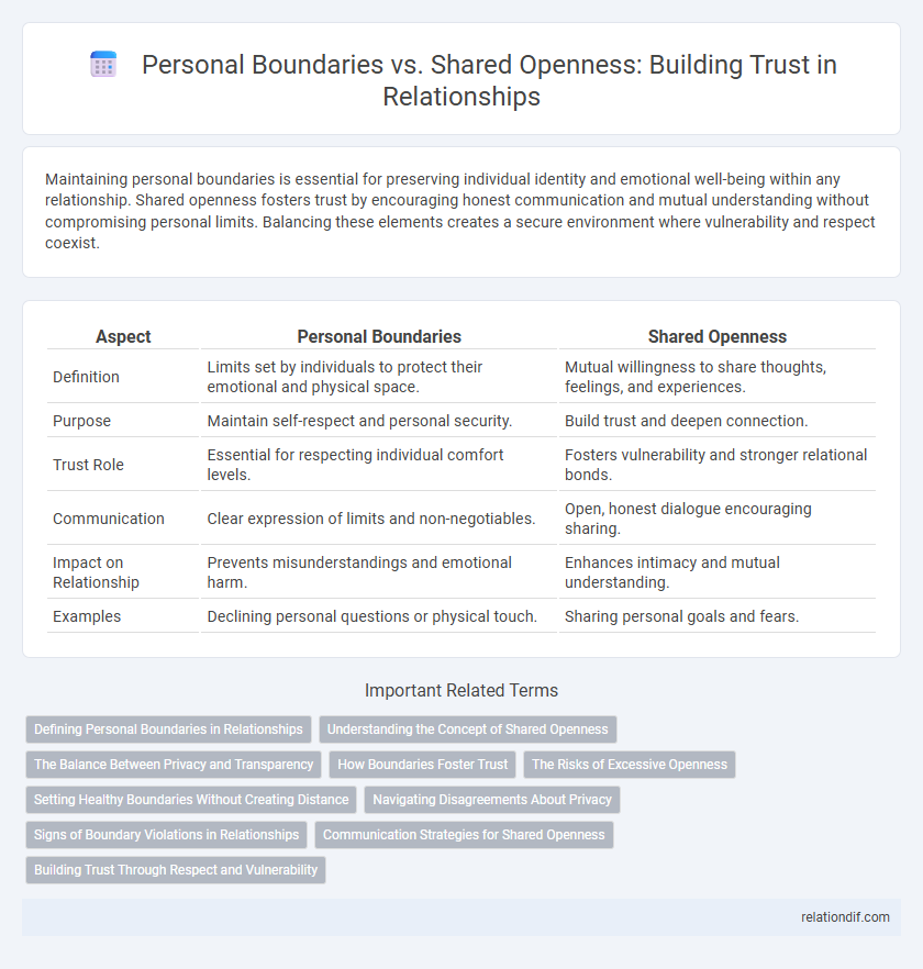 Personal Boundaries vs. Shared Openness: Building Trust in Relationships