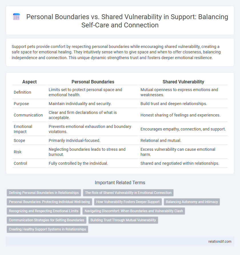Personal Boundaries vs. Shared Vulnerability in Support: Balancing Self-Care and Connection