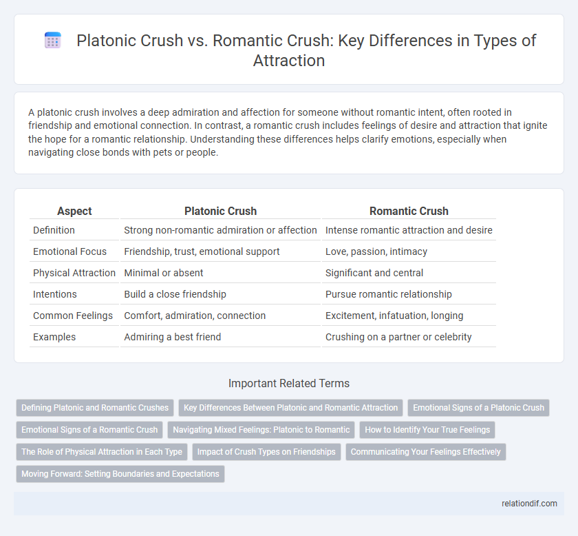 Platonic Crush vs. Romantic Crush: Key Differences in Types of Attraction