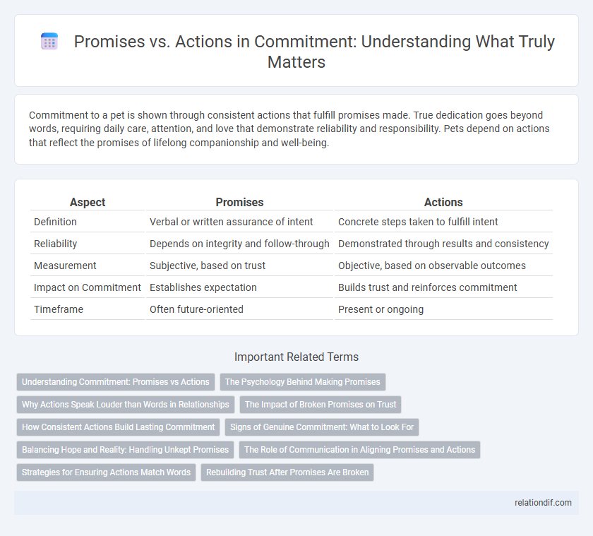 Promises vs. Actions in Commitment: Understanding What Truly Matters