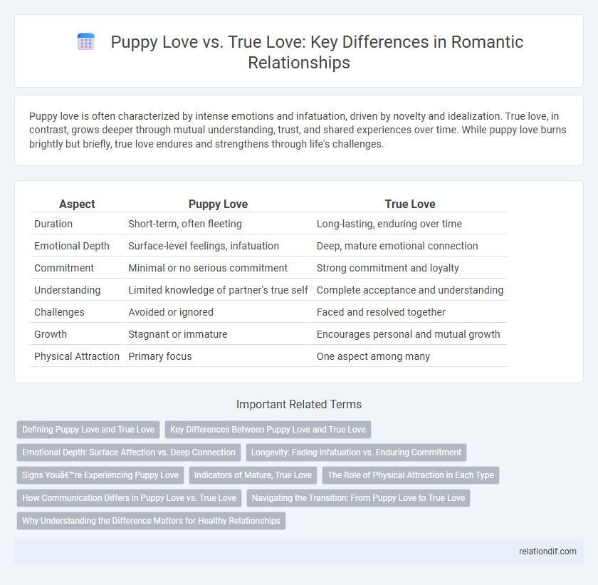 Puppy Love vs. True Love: Key Differences in Romantic Relationships