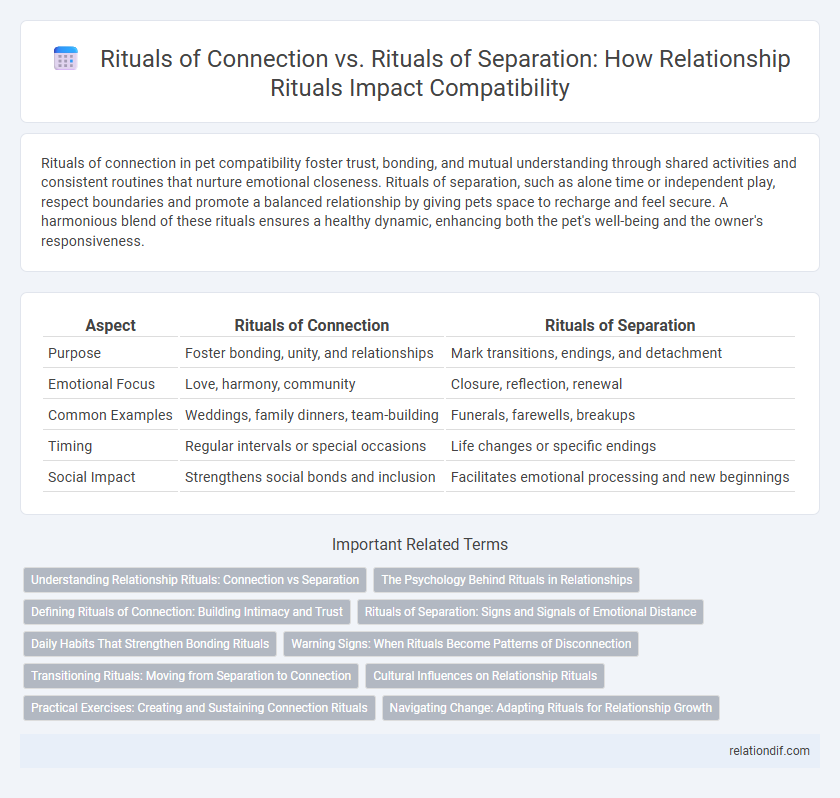 Rituals of Connection vs. Rituals of Separation: How Relationship Rituals Impact Compatibility
