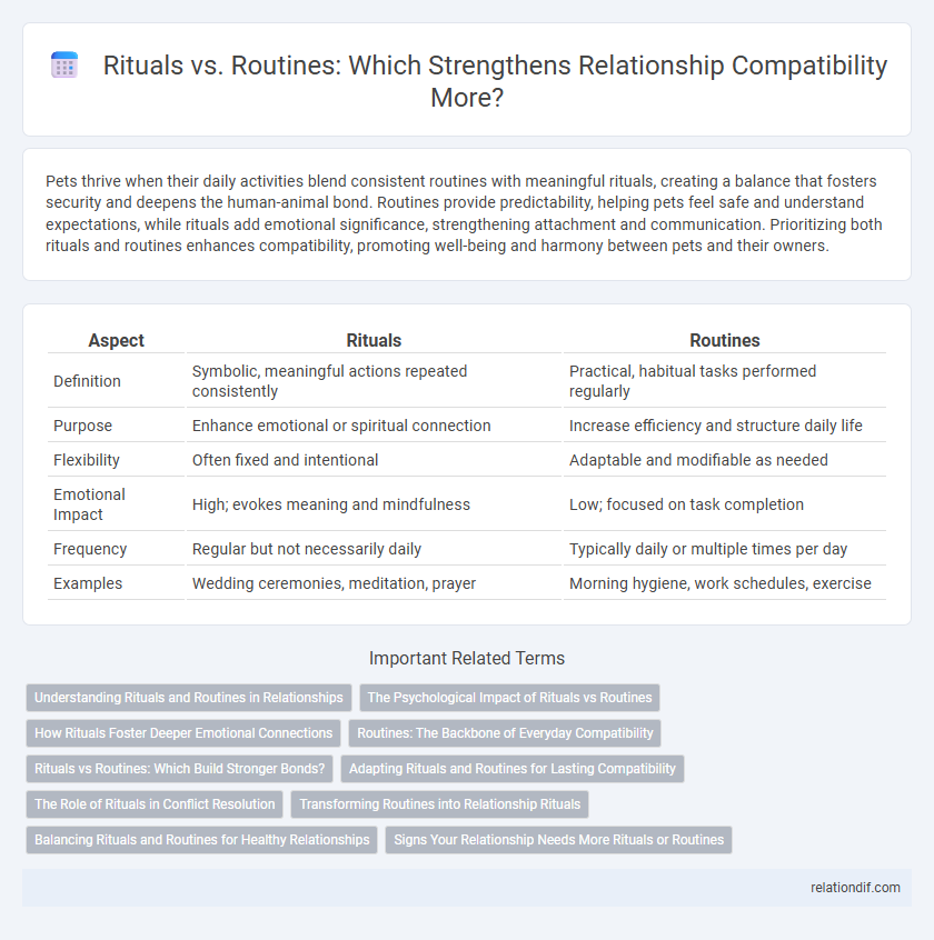 Rituals vs. Routines: Which Strengthens Relationship Compatibility More?