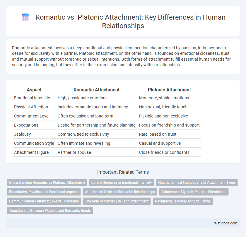 Romantic vs. Platonic Attachment: Key Differences in Human Relationships