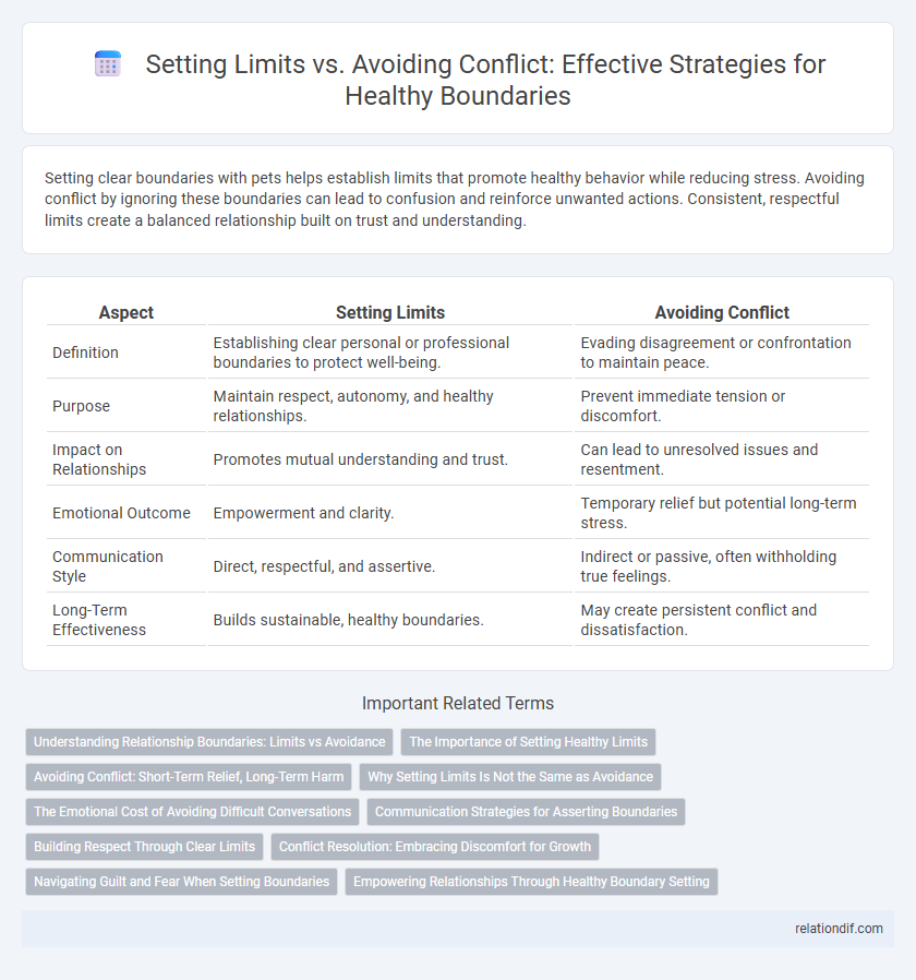 Setting Limits vs. Avoiding Conflict: Effective Strategies for Healthy Boundaries