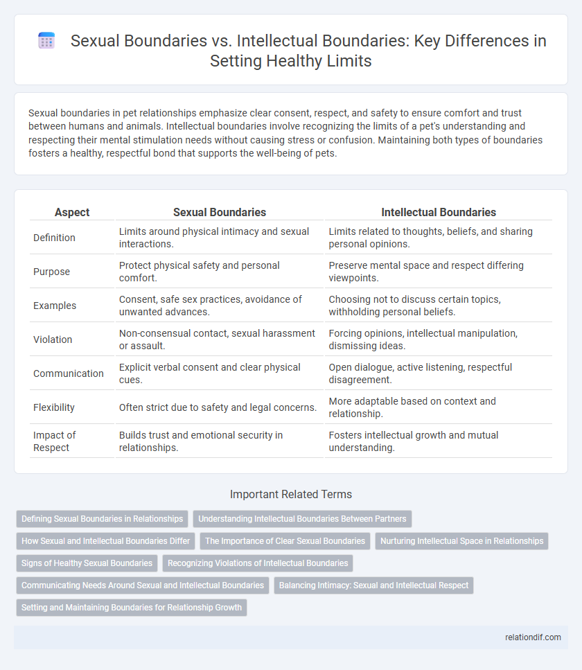 Sexual Boundaries vs. Intellectual Boundaries: Key Differences in Setting Healthy Limits