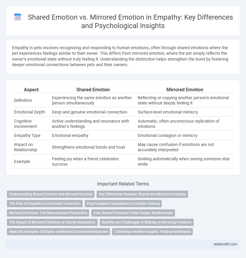 Shared Emotion vs. Mirrored Emotion in Empathy: Key Differences and Psychological Insights