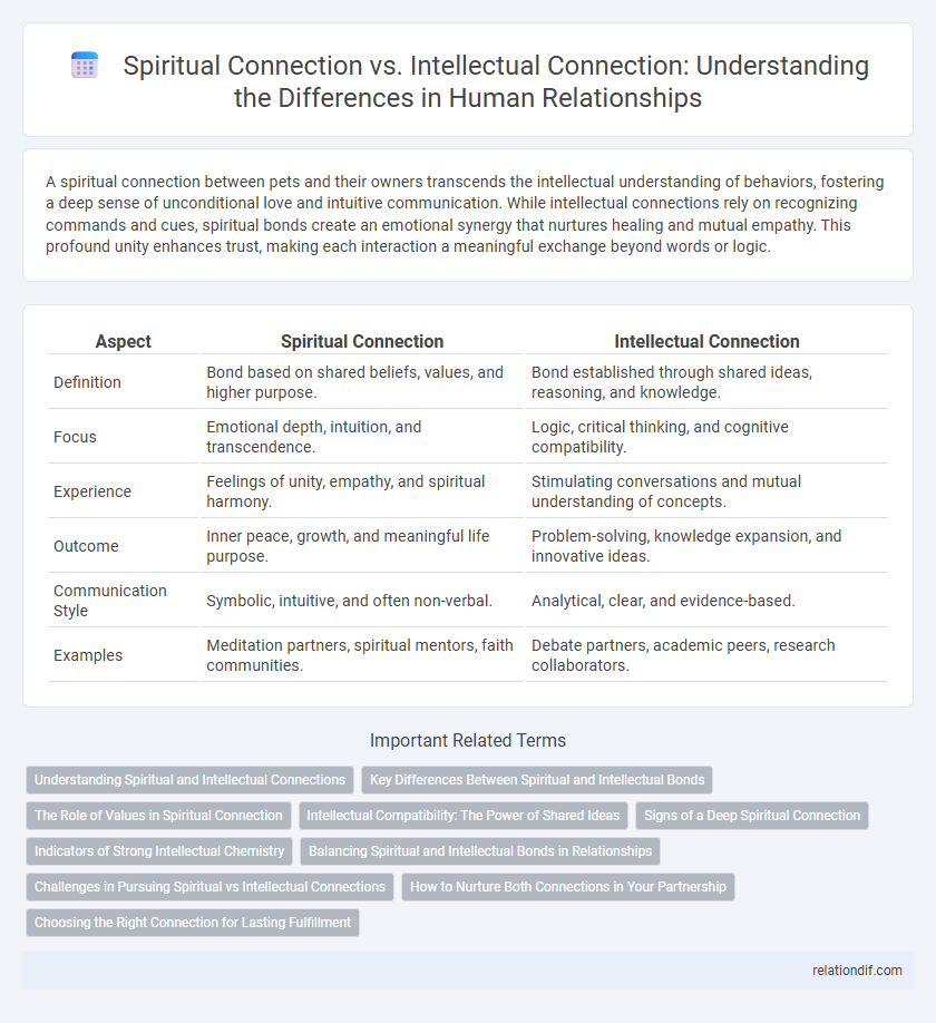 Spiritual Connection vs. Intellectual Connection: Understanding the Differences in Human Relationships