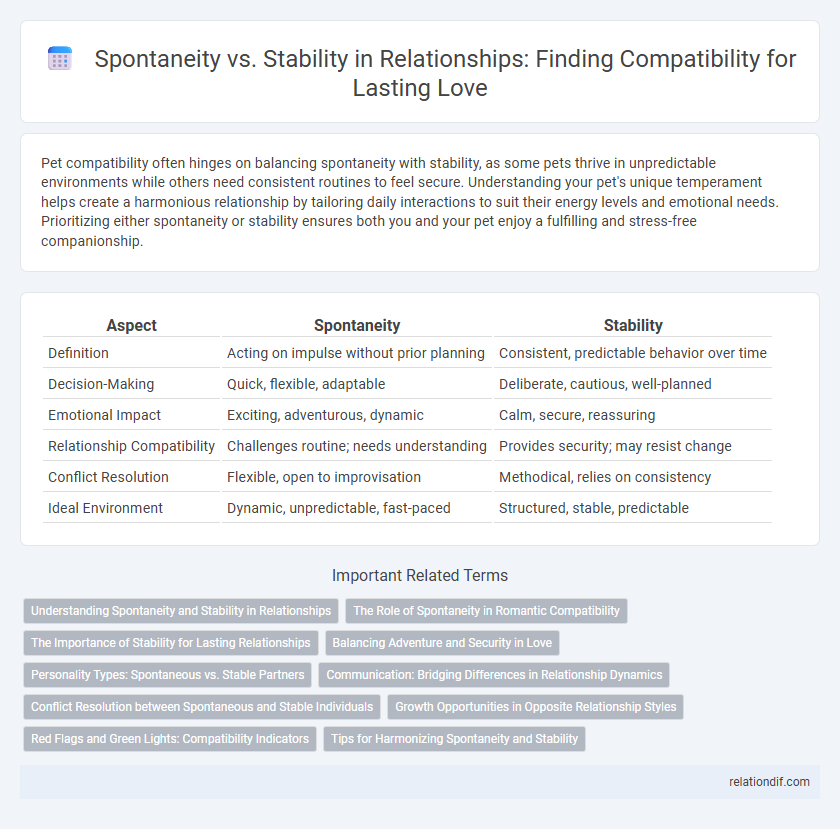 Spontaneity vs. Stability in Relationships: Finding Compatibility for Lasting Love