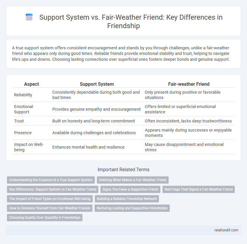 Support System vs. Fair-Weather Friend: Key Differences in Friendship
