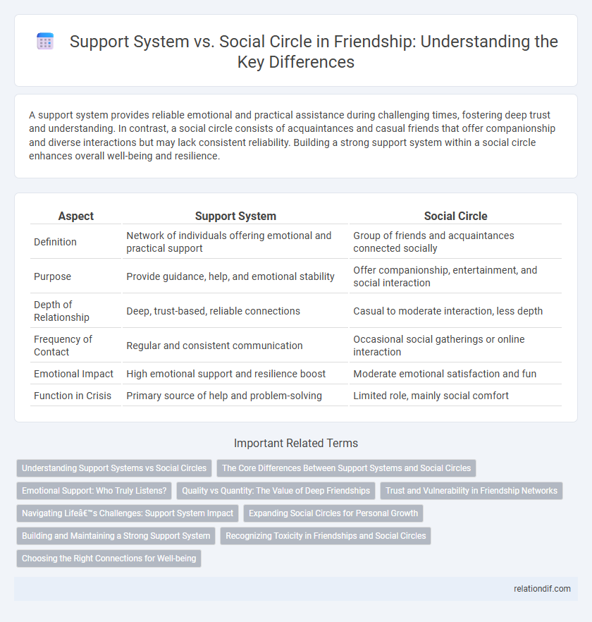 Support System vs. Social Circle in Friendship: Understanding the Key Differences