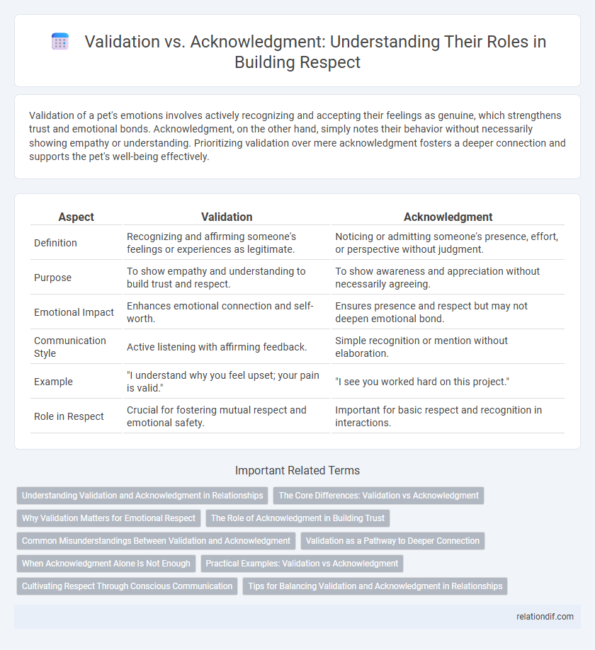 Validation vs. Acknowledgment: Understanding Their Roles in Building Respect