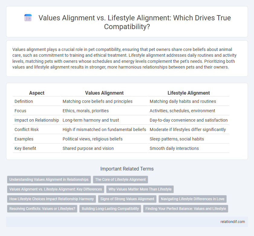 Values Alignment vs. Lifestyle Alignment: Which Drives True Compatibility?