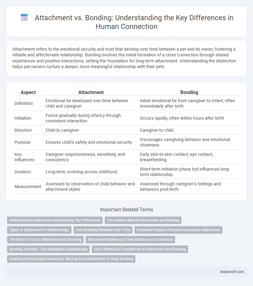 Attachment vs. Bonding: Understanding the Key Differences in Human Connection