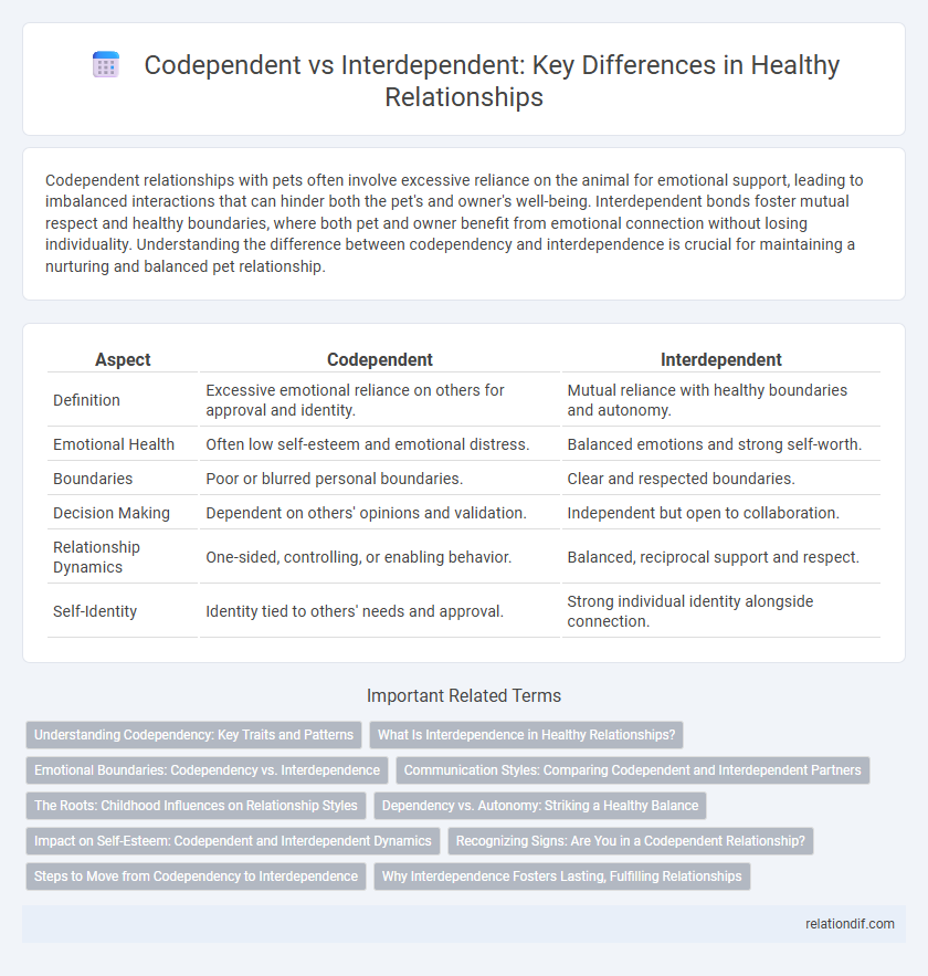 Codependent vs Interdependent: Key Differences in Healthy Relationships