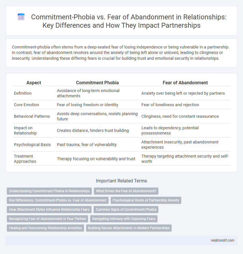 Commitment-Phobia vs. Fear of Abandonment in Relationships: Key Differences and How They Impact Partnerships