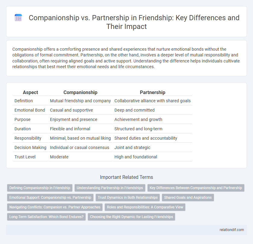 Companionship vs. Partnership in Friendship: Key Differences and Their Impact