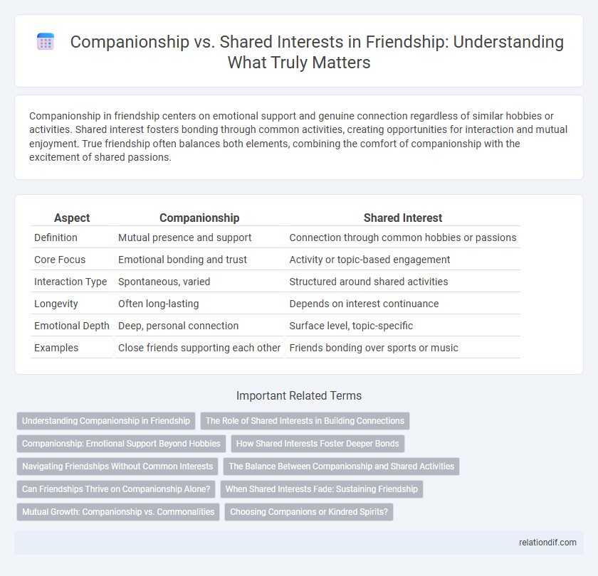 Companionship vs. Shared Interests in Friendship: Understanding What Truly Matters