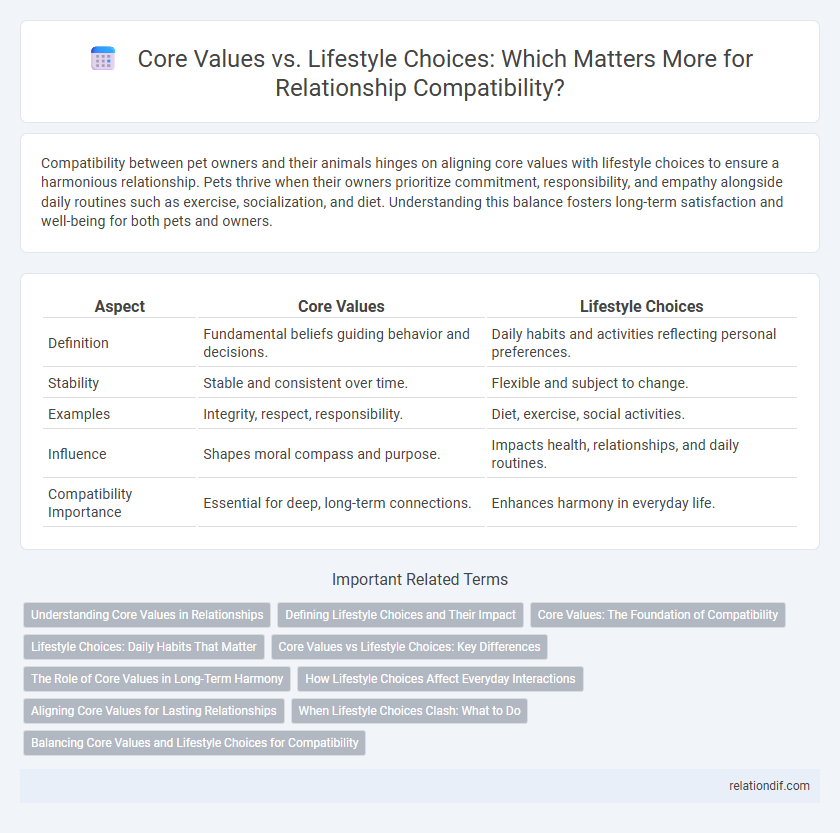 Core Values vs. Lifestyle Choices: Which Matters More for Relationship Compatibility?