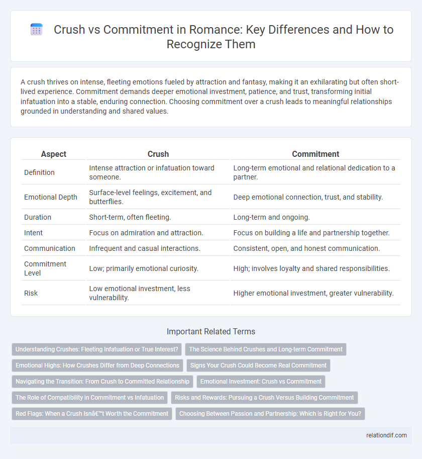 Crush vs Commitment in Romance: Key Differences and How to Recognize Them