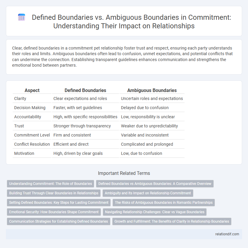 Defined Boundaries vs. Ambiguous Boundaries in Commitment: Understanding Their Impact on Relationships