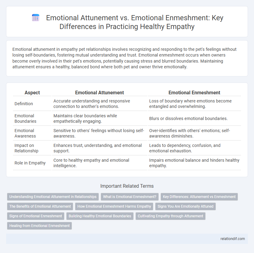 Emotional Attunement vs. Emotional Enmeshment: Key Differences in Practicing Healthy Empathy