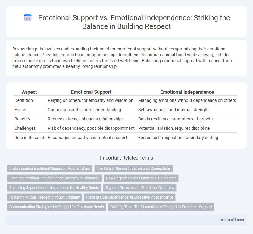 Emotional Support vs. Emotional Independence: Striking the Balance in Building Respect