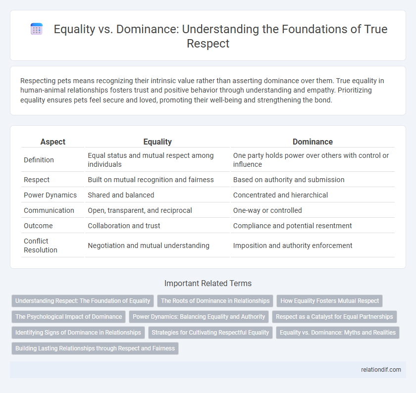 Equality vs. Dominance: Understanding the Foundations of True Respect