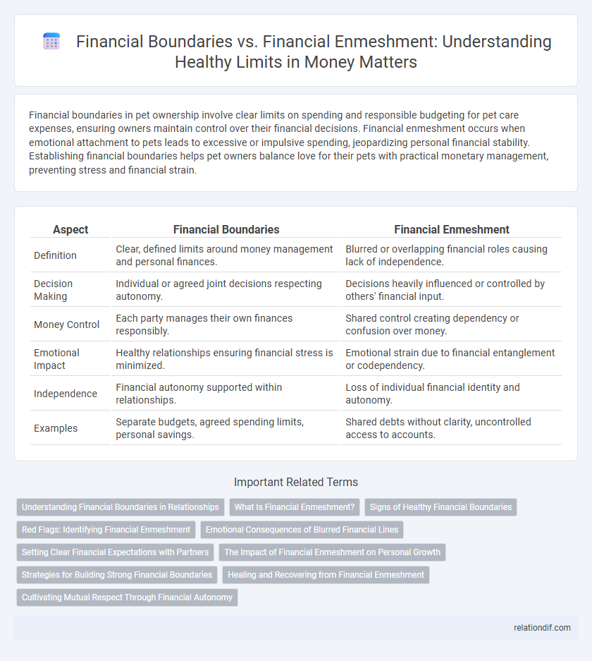 Financial Boundaries vs. Financial Enmeshment: Understanding Healthy Limits in Money Matters