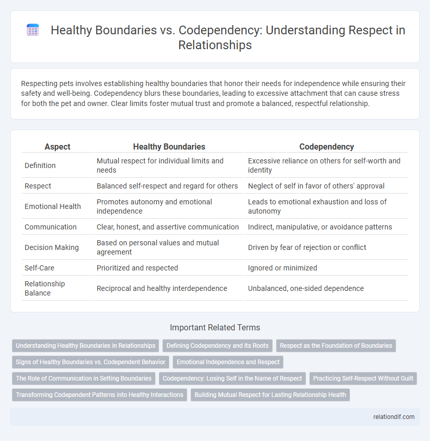 Healthy Boundaries vs. Codependency: Understanding Respect in Relationships