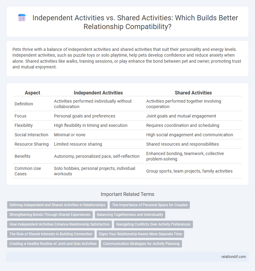 Independent Activities vs. Shared Activities: Which Builds Better Relationship Compatibility?