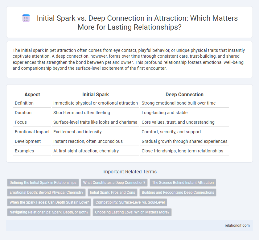 Initial Spark vs. Deep Connection in Attraction: Which Matters More for Lasting Relationships?