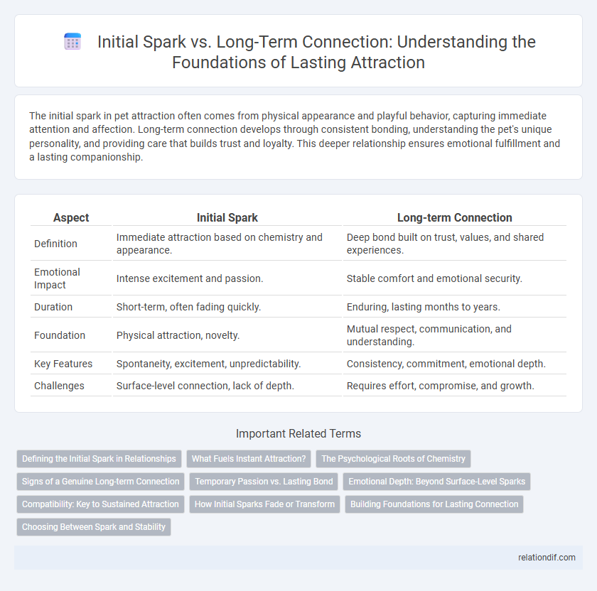 Initial Spark vs. Long-Term Connection: Understanding the Foundations of Lasting Attraction