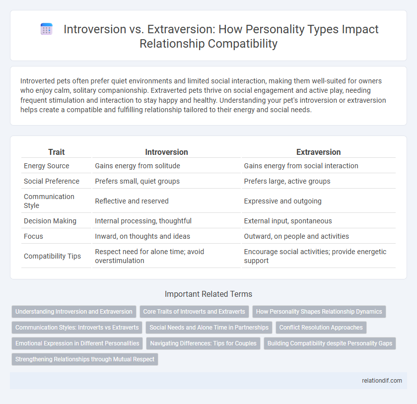 Introversion vs. Extraversion: How Personality Types Impact Relationship Compatibility