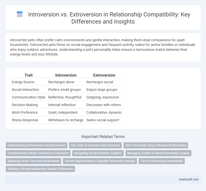 Introversion vs. Extroversion in Relationship Compatibility: Key Differences and Insights