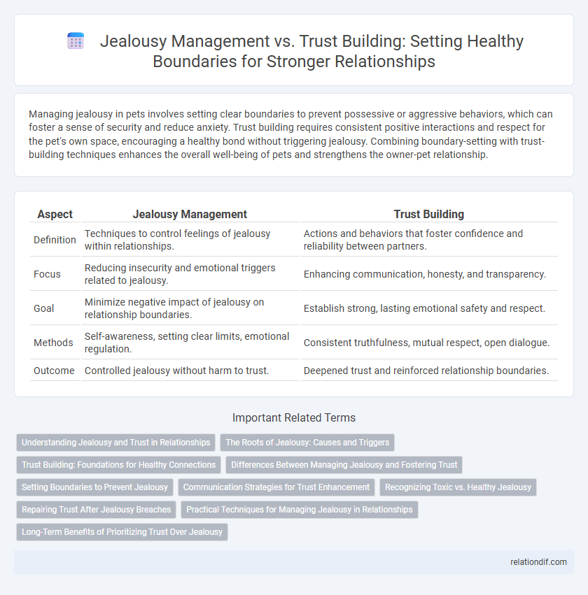 Jealousy Management vs. Trust Building: Setting Healthy Boundaries for Stronger Relationships