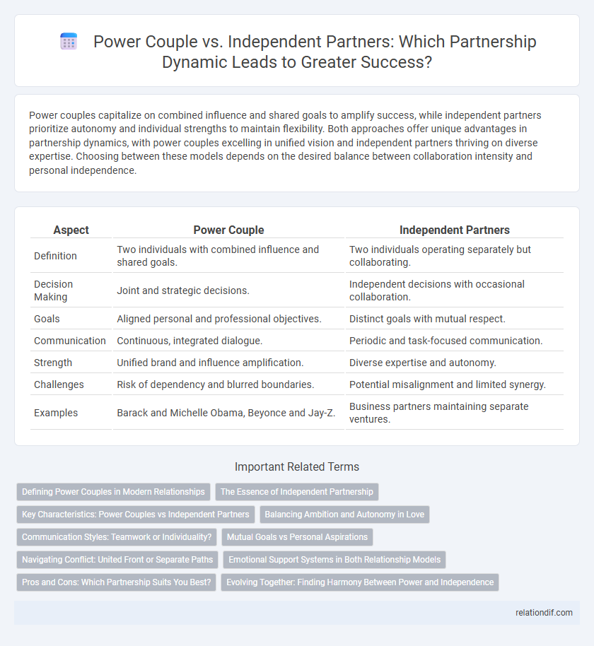 Power Couple vs. Independent Partners: Which Partnership Dynamic Leads to Greater Success?