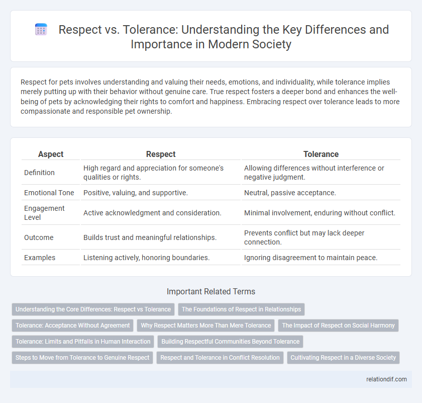 Respect vs. Tolerance: Understanding the Key Differences and Importance in Modern Society