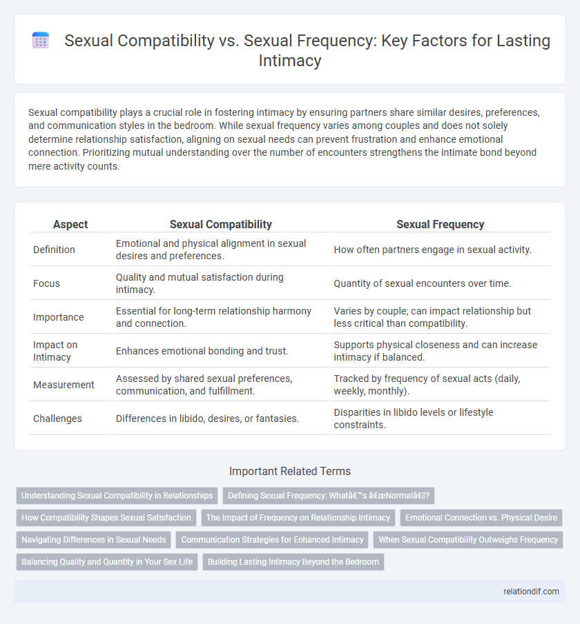 Sexual Compatibility vs. Sexual Frequency: Key Factors for Lasting Intimacy