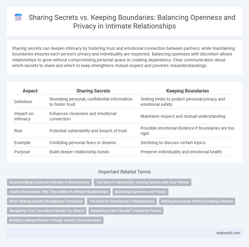 Sharing Secrets vs. Keeping Boundaries: Balancing Openness and Privacy in Intimate Relationships