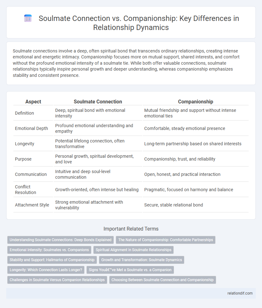 Soulmate Connection vs. Companionship: Key Differences in Relationship Dynamics
