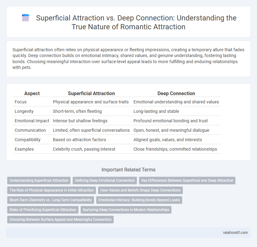 Superficial Attraction vs. Deep Connection: Understanding the True Nature of Romantic Attraction