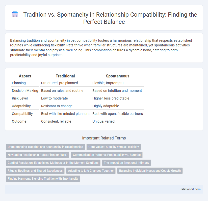 Tradition vs. Spontaneity in Relationship Compatibility: Finding the Perfect Balance