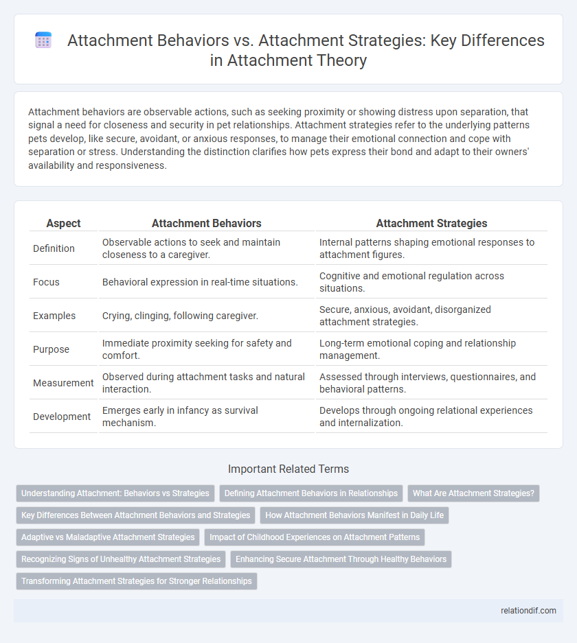 Attachment Behaviors vs. Attachment Strategies: Key Differences in Attachment Theory