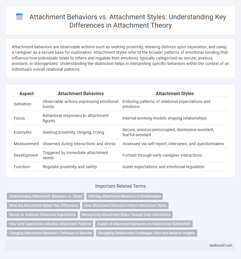 Attachment Behaviors vs. Attachment Styles: Understanding Key Differences in Attachment Theory