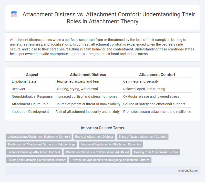Attachment Distress vs. Attachment Comfort: Understanding Their Roles in Attachment Theory