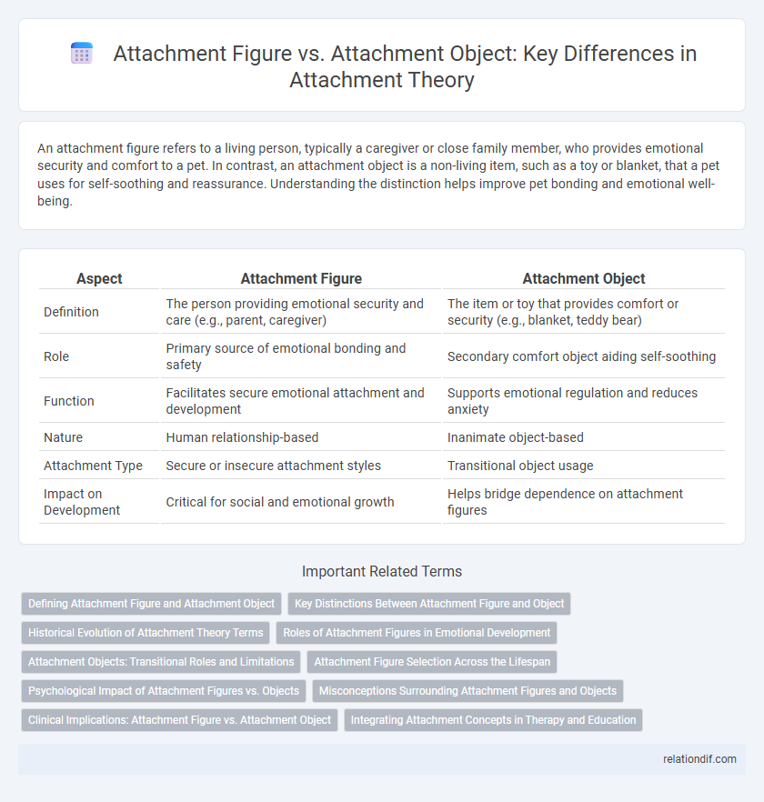 Attachment Figure vs. Attachment Object: Key Differences in Attachment Theory
