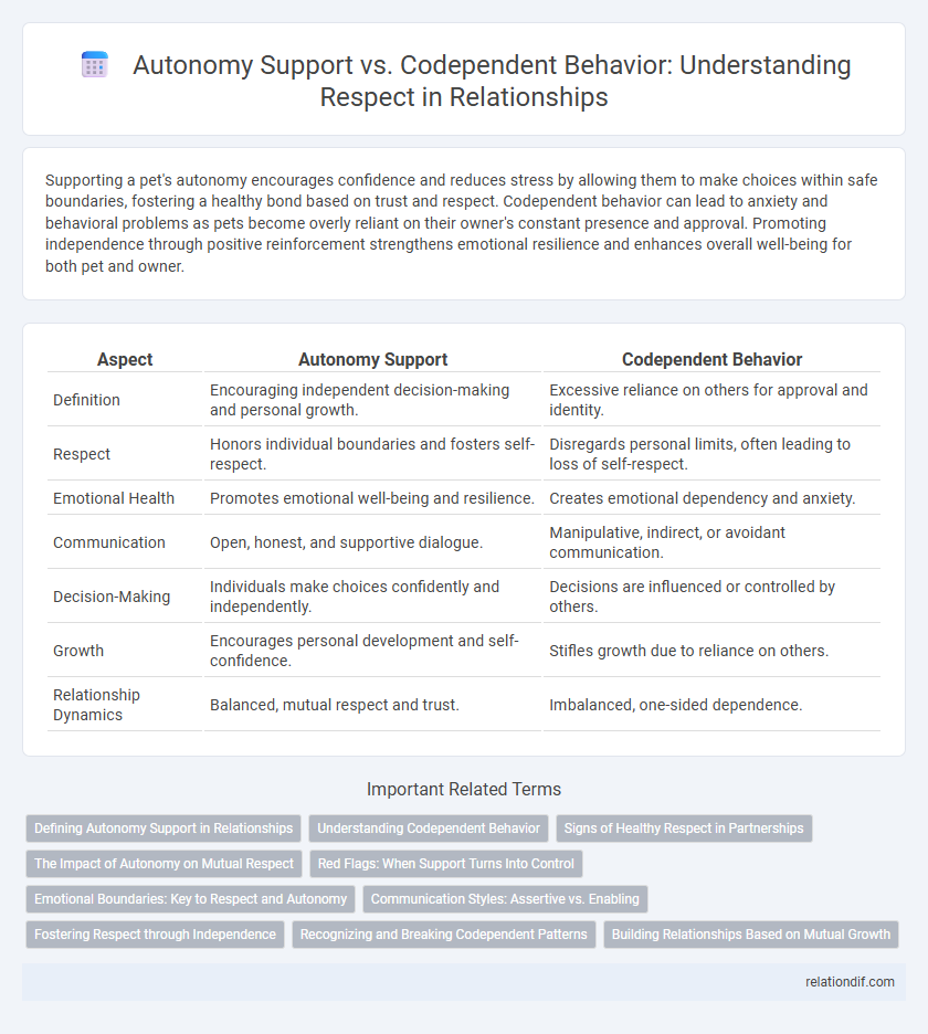 Autonomy Support vs. Codependent Behavior: Understanding Respect in Relationships