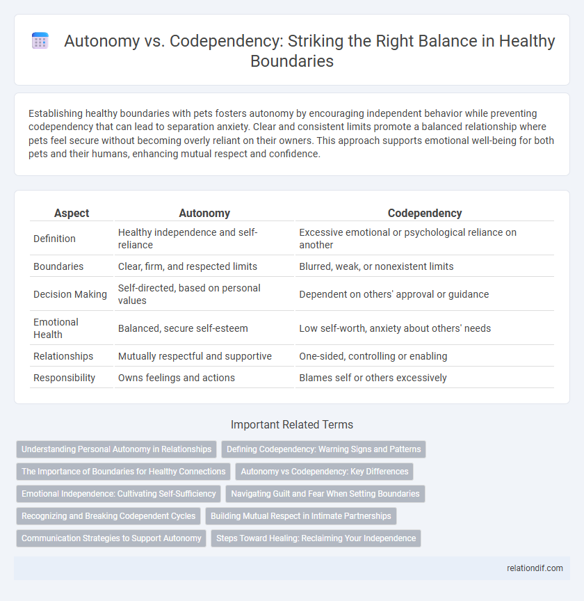 Autonomy vs. Codependency: Striking the Right Balance in Healthy Boundaries