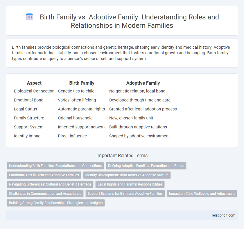 Birth Family vs. Adoptive Family: Understanding Roles and Relationships in Modern Families